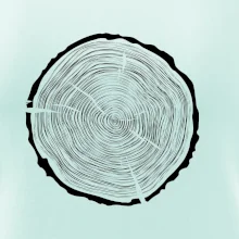 Letokruhy 60 bez věku