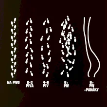 Cesta na pivo a domů