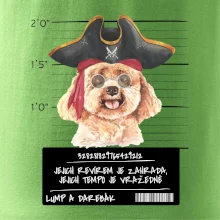 Lump a darebák pudl