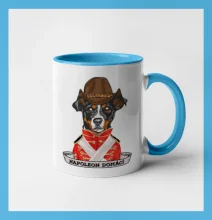 Napoleon domácí pes kříženec