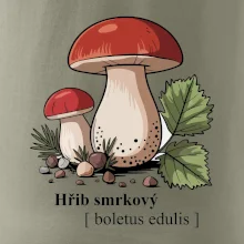 Hřib smrkový - Boletus edulis kreslený