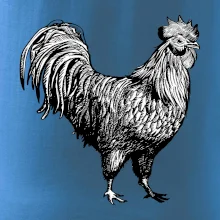 Kohout kreslený černobílý