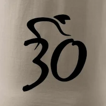 Cyklista slaví třicítku (30)