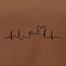 Jorkšírský teriér EKG