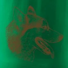 Husky - hlava z boku