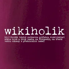 Čeština 2.0 - wikiholik