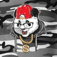 Hip hop panda