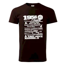 1956 v kostce