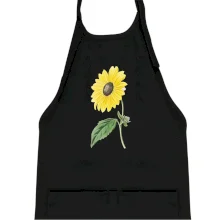 Slunečnice otočená