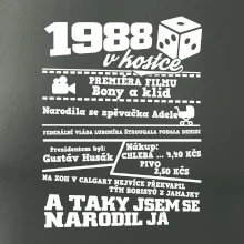 1988 v kostce