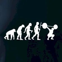 Evolution fitness Evolution fitness
