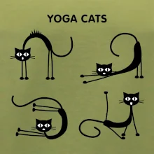 Kočičí jóga (Hana-creative)