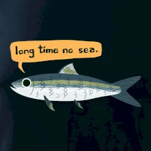 Long time no sea