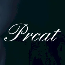 Prcat (souložit vulgárně) Prcat (souložit vulgárně)