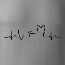 Jorkšírský teriér EKG