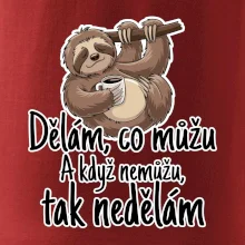 Dělám, co můžu. A když nemůžu, tak nedělám.