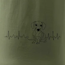 EKG křivka jezevčík