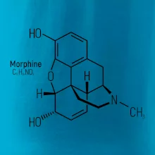 Molekulární struktura Morfin