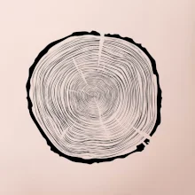 Letokruhy 80 bez věku