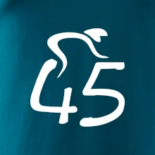 Cyklista slaví pětačtyřicítku (45)