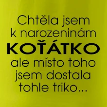 Chtěla jsem dostat k narozeninám koťátko