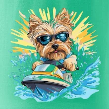 Yorkšírský teriér na vodním skútru