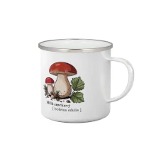 Hřib smrkový - Boletus edulis kreslený