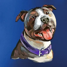Americký stafordširský teriér  kreslený