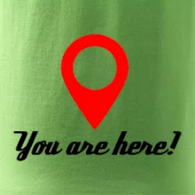You are here