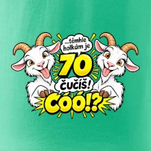Těmhle holkám je 70, čučíš co?