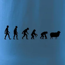 Evoluce ovce