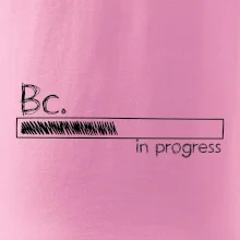 In progress  titul Bc. bakalář / bakalářka