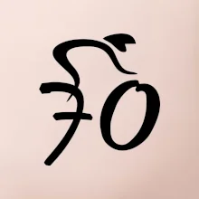 Cyklista slaví sedmdesátku (70)