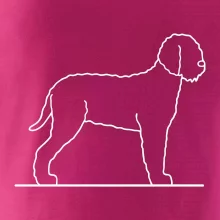 Lagotto romagnolo stojící