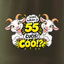 Těmhle holkám je 55, čučíš co?