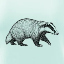 Zvířata Krkonoš – jezevec lesní
