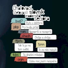 Chatovací slovník moderního seniora (Běžící češtinář)