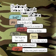 Chatovací slovník moderního seniora (Běžící češtinář)