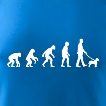 Lagotto romagnolo Evoluce