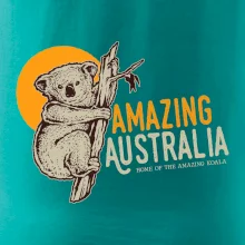 Amazing Australia koala