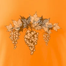 Vinné hrozny šedé