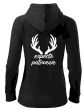 Harry - Expecto patronum