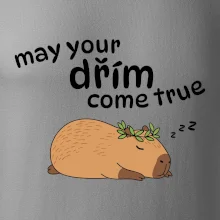 May your dřím come true May your dřím come true