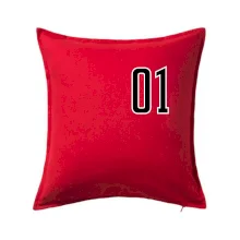 Můj nejoblíbenější hráč - Vaše jméno a číslo