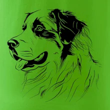 Bernský salašnický pes černá kresba