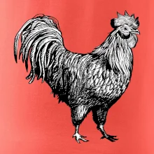 Kohout kreslený černobílý