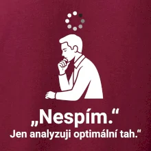 Nespím. Jen analyzuji optimální tah.