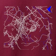 Kopřivnice - Mapa s vodními toky