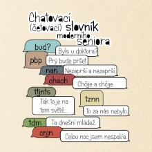 Chatovací slovník moderního seniora (Běžící češtinář)