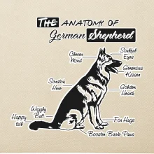Německý ovčák - Anatomie